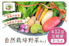 自然栽培野菜セット（年12回）2~3人用　定期便　月1回×12ヵ月　ふるさと納税 野菜 自然栽培 季節 定期便 旬野菜　AB00003