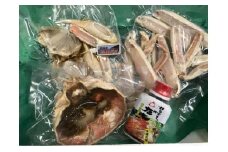 調理済み活〆松葉ガニ（濃縮だし付）［加工前活けの状態で800g～1kg以上×1匹］　国産 松葉ガニ 松葉蟹 蟹刺身 かにしゃぶ ふるさと納税 松葉がに ふるさと納税 カニ カニ鍋 カニスキ 蟹鍋　SK00128