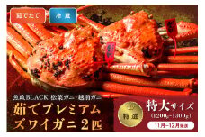 【蟹の匠 魚政】茹で　プレミアムズワイガニ 魚政BLACK（松葉ガニ・越前ガニ）特撰 特大サイズ（1200～1300g） 2匹セット　(11月～12月発送)【土日祝】　松葉蟹 蟹 かに カニ ガニ がに ボイル 海産物 甲殻類 海の幸 まるごと　UO01308