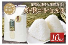 令和5年度産　丹後うらら米　丹後コシヒカリ　10kg　米 お米 こしひかり コシヒカリ 10キロ ふるさと納税 京丹後市　AM00564