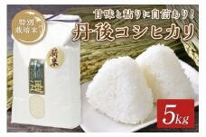 令和5年度産　丹後うらら米　丹後コシヒカリ　5kg　米 お米 こしひかり コシヒカリ ふるさと納税 京丹後市　AM00370
