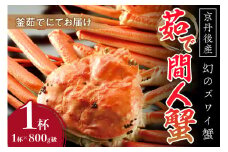 【幻のズワイ蟹】京丹後産 茹で間人蟹 鮮度抜群、釜茹でにてお届け！！ 800g級×1杯　YK00083