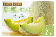 【先行予約／数量限定200】糖度15度以上／砂姫メロン 1玉！大玉2L以上！女性に人気！（2025年6月下旬～発送）青肉メロン マスクメロン プリンスメロン　JK00001