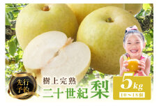 【先行予約】樹上完熟／ 二十世紀梨 5kg(10～16個)（2025年8月下旬～発送） 農家直送 ナシ なし 人気 フルーツ 果物  梨  20世紀梨 梨 5kg　BF00002
