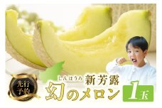 【先行予約】幻のメロン 新芳露 1玉（2025年7月下旬～発送）　国産 旬 メロン 希少メロン 先行予約 期間限定 フルーツ 贈答用 箱入り マスクメロン 青肉メロン メロン先行予約 メロン1玉　BF00003