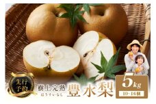 【先行予約】樹上完熟 豊水梨 5kg（10～16個）（2025年8月下旬～発送） 農家直送 ナシ なし ホウスイ ほうすい 人気 フルーツ 果物　BF00010