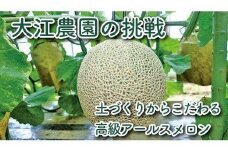 【先行予約／数量限定】京都丹後産 セリーヌメロン 1玉入り（2025年7月～発送）※マスクメロン（アールスメロン）系　国産 旬 アールスメロン めろん メロン 青肉 1玉 先行予約 期間限定 フルーツ くだもの 果物　AM00672