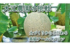 【先行予約／数量限定】京都丹後産 セリーヌメロン 1玉入り（2026年7月～発送）※マスクメロン（アールスメロン）系　国産 旬 アールスメロン めろん メロン 青肉 1玉 先行予約 期間限定 フルーツ くだもの 果物　AM00701