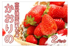 【先行予約／数量限定】京都丹後産 完熟いちご（かおりの） 2パック（2026年3月中旬～発送）　 農家直送 イチゴ 苺 先行予約 期間限定 フルーツ くだもの 果物 ストロベリー　AM00667