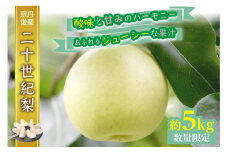 【先行予約／数量限定】京都丹後産 二十世紀梨 5kg（2025年9月上旬～発送）　AM00669