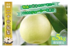 【先行予約／数量限定】京都丹後産 二十世紀梨 5kg（2025年9月上旬～発送）　AM00669