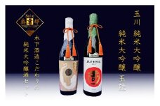 玉川「純米大吟醸」飲み比べセット　お酒 酒 酒好き お酒好き プレゼント 敬老の日 誕生日 母の日 父の日 お祝い 手土産 アルコール 京都 丹後 地酒 日本酒 送料無料　SK00092