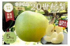 【先行予約／数量限定100】【訳あり】20世紀梨 優品 5kg（13～20玉入り）（2025年9月上旬～発送）　SF00021