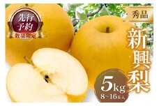【先行予約／数量限定50】新興梨 秀品 5kg（8～16玉入り）（2025年10月上旬～発送）　SF00022