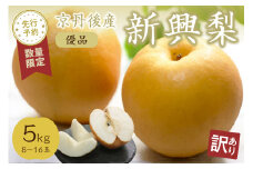 【先行予約／数量限定100】【訳あり】新興梨 優品 5kg（8～16玉入り）（2025年10月上旬～発送）　SF00023