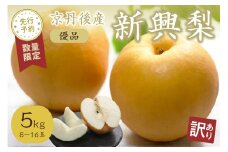 【先行予約／数量限定100】【訳あり】新興梨 優品 5kg（8～16玉入り）（2025年10月上旬～発送）　SF00023