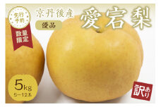 【先行予約／数量限定50】【訳あり】愛宕梨 優品 5kg（5～12玉入り）（2025年11月下旬～発送）　SF00025