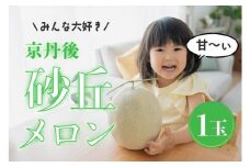 【先行予約】メロン産地から直送！濃厚な甘み／みんな大好き甘～ぃ！京丹後砂丘めろん！ 1玉（2026年7月下旬～発送）メロン1玉　YK00529