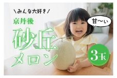 【先行予約】みんな大好き甘～ぃ！京丹後砂丘めろん！ 3玉（2026年7月下旬～発送）　YK00531