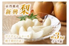 【先行予約】甘～ぃ！ジューシー！！晩生梨の代表 京丹後産 新興梨 3kg（4～9玉）（2025年10月中旬～発送）　国産 期間限定 デザート ふるさと 納税 梨 なし ナシ ふるさと 納税 先行予約 期間限定 ふるさと 納税 フルーツ くだもの 果物 赤梨　YK00057