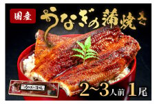 うなぎの蒲焼き2~3人前（1尾）ウナギ特製タレと山椒付き　うなぎの蒲焼・ウナギの蒲焼き　ウナギ 鰻 蒲焼 かばやき タレ 丑の日 ふるさと納税 うなぎ ふるさと納税 鰻 国産 ふるさと納税 惣菜 京都 ギフト 贈り物 お祝い　AN00072