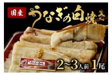 うなぎの白焼き2~3人前（1尾）ウナギ特製タレと山椒付き　うなぎの白焼きセット・うなぎの白焼き・うなぎ１匹　AN00073