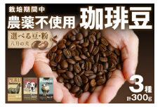 【栽培期間中農薬不使用】自家焙煎コーヒー豆　お試しセット（100gx3種）【豆の挽き方：細挽き】八月の犬　珈琲豆　ドリップ　飲み比べ　コホペ　HA00016