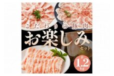 京都産こだわりの豚肉　お楽しみセット　1.2kg（ロースまたは肩ローススライス300g×2パック、バラスライス300g×2パック）　国産 豚肉スライス 京丹後 ロース 肩ロース ろーす スライス バラ肉 ばら 豚肉食べ比べ　TN00013