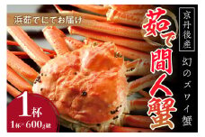 【幻のズワイ蟹】　　京丹後産　茹で間人蟹(中）　鮮度抜群、浜茹でにてお届け！！ 600g級×1杯　YK00090