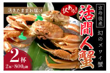 【訳あり！！幻のズワイ蟹】　京丹後産　活間人蟹　鮮度抜群、活きたままお届け！！ 800g級（足1本落ち）×2杯　YK00069