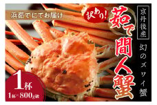 【訳あり！！幻のズワイ蟹】　　京丹後産　茹で間人蟹　鮮度抜群、浜茹でにてお届け！！ 800g級（足1本落ち）×1杯　YK00070