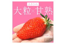 【京丹後産いちご章姫】農園直送便！新鮮大粒いちご 2パック ギフト箱入り／北畿水産　HK00159
