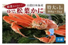 かに卸問屋がお届け・自社釜ゆで！山陰沖ゆで松葉がに 900ｇ～1ｋｇ 特大サイズ（11月発送）／北畿水産　松葉ガニ 松葉蟹 松葉がに 松葉かに ズワイガニ ボイル カニ 姿 ゆでかに　HK00236