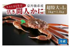 かに卸し問屋がお届け・浜競り厳選！幻の活間人ガニ 1ｋｇ～1.1ｋｇ 超特大サイズ（11月発送）／北畿水産　松葉ガニ 松葉蟹 松葉がに 松葉かに ズワイガニ 活ガニ 生ガニ 活きたまま 活き　HK00227