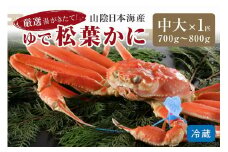 かに卸問屋がお届け・自社釜ゆで！山陰沖ゆで松葉がに 700ｇ～800ｇ 中大サイズ（11月発送）／北畿水産　松葉ガニ 松葉蟹 松葉がに 松葉かに ズワイガニ ボイル カニ 姿 ゆでかに　HK00232