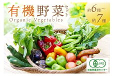 ＜てんとうむしばたけ＞オーガニック野菜セット　有機野菜6～7種(2人用)　 農家直送 京都直送 野菜 有機野菜 オーガニック セット 詰め合わせ 野菜セット 国産 京都産　BR00058
