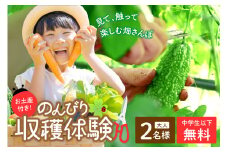 京都のオーガニックファームでのんびり過ごそう！収穫体験&お土産付き(2名様分)　体験 体験チケット チケット 収穫体験 ペアチケット 京都 京丹後 農業 農家 オーガニック てんとうむしばたけ 大自然 自然体験 旬の野菜 ピクニック 有機野菜 体験型返礼品　BR00017