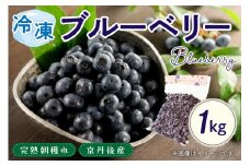 冷凍 ブルーベリー 1kg 国産ブルーベリー 美味しさそのまま摘みたてをハイブリッド冷凍  ブルーベリージャムに　ブルーベリー冷凍 京都京丹後産 ジャムやヨーグルトにおすすめ　HK00160