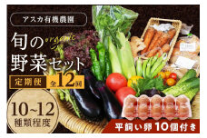 野菜 定期便 12回（卵付き）【アスカ有機農園】京の旬野菜セットL平飼い卵付き（栽培期間中農薬・化学肥料不使用）＜京都 オーガニック アクション加盟＞京野菜セット・野菜 詰め合わせ・玉子付き・京都 定期便・野菜 定期　AY00011