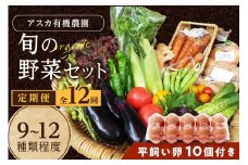 野菜 定期便 12回（卵付き）【アスカ有機農園】京の旬野菜セットL平飼い卵付き（栽培期間中農薬・化学肥料不使用）＜京都 オーガニック アクション加盟＞京野菜セット・野菜 詰め合わせ・玉子付き・京都 定期便・野菜 定期　AY00011