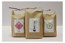令和7年度産（2合×6袋）／令和7年産 京丹後・野間産　田渕さんちのおいしいお米 個包装 2合×6袋入　2025年産　2025年度産　AN00080