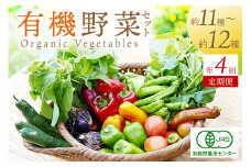 【年4回定期便】＜てんとうむしばたけ＞オーガニック野菜セット　有機野菜11～12種(4人用)　定期便  農家直送 京都直送 野菜 有機野菜 オーガニック セット 詰め合わせ 野菜セット 国産 京都産 ふるさと納税 野菜　BR00052