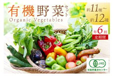 【年6回定期便】＜てんとうむしばたけ＞オーガニック野菜セット　有機野菜11～12種(4人用)　定期便  農家直送 京都直送 野菜 有機野菜 オーガニック セット 詰め合わせ 野菜セット 国産 京都産 ふるさと納税 野菜　BR00053