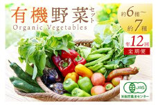 【年12回定期便】＜てんとうむしばたけ＞オーガニック野菜セット　有機野菜6～7種(2人用)　定期便 農家直送 京都直送 野菜 有機野菜 オーガニック セット 詰め合わせ 野菜セット 国産 京都産 ふるさと納税 野菜　BR00061