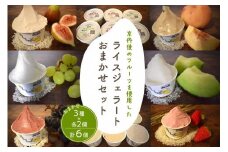 京丹後のフルーツを使用したライスジェラートおまかせセット 3種×2個（季節のフルーツはおまかせ）　バレンタインプレゼント（2/11～2/14にお届け）　RI00002V
