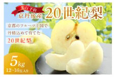 【先行予約／数量限定150】京丹後産 20世紀梨 5kg（12～16玉入り）（2025年9月～発送）　国産 期間限定 デザート 甘い ジューシー ふるさと 納税 梨 なし ナシ 5kg ふるさと 納税 先行予約 期間限定 ふるさと 納税 フルーツ くだもの 青梨　JA00045