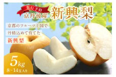 【先行予約／数量限定150】京丹後産 新興梨 5kg（8～14玉入り）（2025年10月中旬～発送）　国産 期間限定 デザート 甘い ジューシー ふるさと納税 梨 なし ナシ 5kg ふるさと納税 先行予約 フルーツ くだもの 果物 赤梨　JA00046