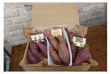 【先行予約／数量限定】直売所直送「京都・京丹後産 訳あり さつまいも3種食べ比べセット」計3kg（2025年10月下旬～発送）　国産 ふるさと納税 訳あり ふるさと納税 さつま芋 ふるさと納税 シルクスイート ふるさと納税 安納芋 紅はるか　JA00069