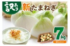 【訳あり】新たまねぎ　甘い 新鮮 国産 玉ねぎ ふるさと納税 たまねぎ 訳あり 訳有り わけあり 不揃い ふぞろい やさい 京野菜 京都産 新たま　JA00063
