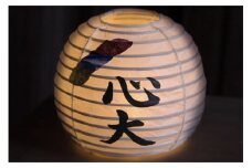【小嶋庵　京提灯】名入れ五丸提灯・Mサイズ(卓上楕円型・直径約15cm程度、高さ約14㎝程度)　ちょうちん インテリア いんてりあ 照明 ライト らいと ランプ らんぷ 自宅 家庭用 店舗 小嶋商店 伝統 工芸品 日用品 送料無料　KJ00004